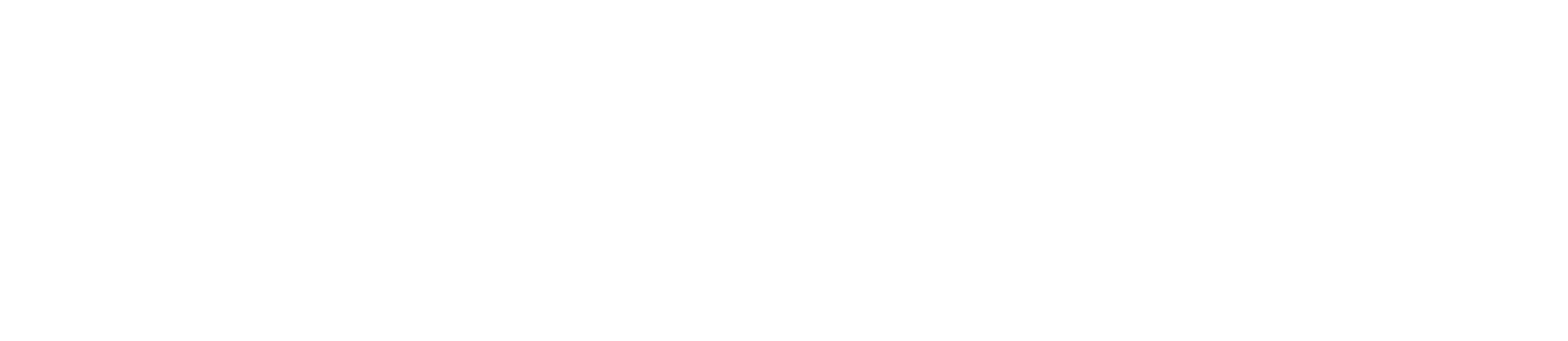 Safeteer